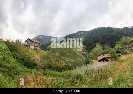 Maisons et dépendances (hangars) dans le village de Mugla en conifères Forêt sur les pentes abruptes des montagnes Rhodope dans Mauvais temps nuageux (Rhodop Banque D'Images