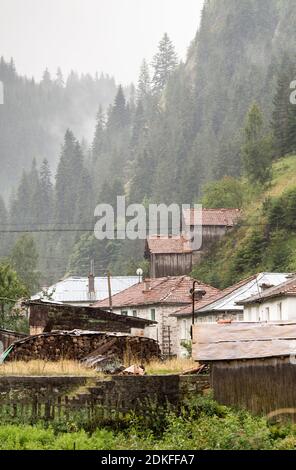 Maisons et dépendances (hangars) dans le village de Mugla en conifères Forêt sur les pentes abruptes des montagnes Rhodope dans Mauvais temps pluvieux (Rhodope Banque D'Images