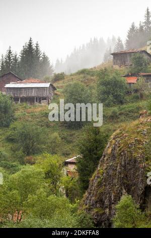 Maisons et dépendances (hangars) dans le village de Mugla en conifères Forêt sur les pentes abruptes des montagnes Rhodope dans Mauvais temps pluvieux (Rhodope Banque D'Images