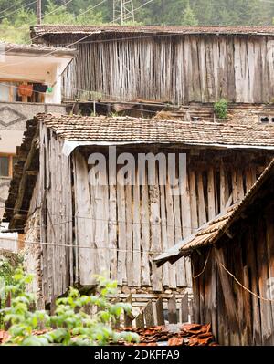 Maisons et dépendances (hangars) dans le village de Mugla en conifères Forêt sur les pentes abruptes des montagnes Rhodope dans Mauvais temps pluvieux (Rhodope Banque D'Images