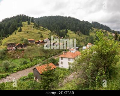 Maisons et dépendances (hangars) dans le village de Mugla en conifères Forêt sur les pentes abruptes des montagnes Rhodope dans Mauvais temps nuageux (Rhodop Banque D'Images