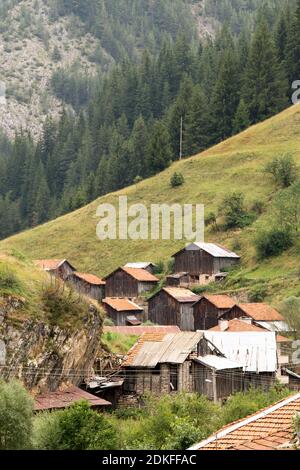 Maisons et dépendances (hangars) dans le village de Mugla en conifères Forêt sur les pentes abruptes des montagnes Rhodope dans Mauvais temps nuageux (Rhodop Banque D'Images