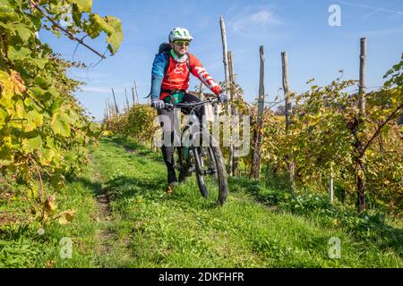 Un homme passe sur les sentiers à travers les vignobles de Prosecco en automne avec un e-bike (e-mtb), vignobles de Valdobbiadene, province de Trévise, Vénétie, Italie Banque D'Images