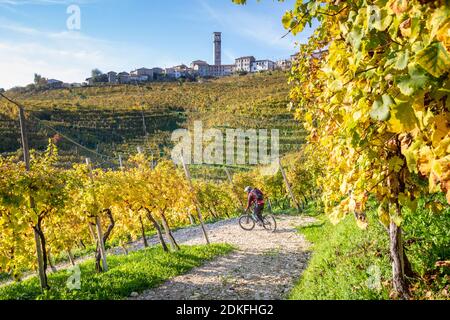 Un homme passe sur les sentiers à travers les vignobles de Prosecco en automne avec un e-bike (e-mtb), San Pietro di Barbozza, Valdobbiadene, province de Trévise, Vénétie, Italie Banque D'Images