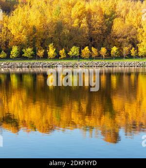 Automne coloré. Ruelle le long de la rive sur le fond du parc d'automne. Réflexions dans l'eau de la forêt et le ciel bleu. Banque D'Images