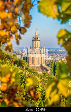 Temple de S. Martino parmi les vignobles, Eglise Colle di San Martino, Col San Martino, province de Trévise, Vénétie, Italie Banque D'Images