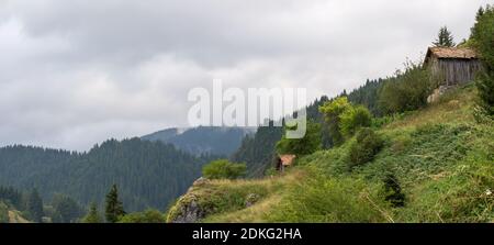 Dépendances de campagne (hangars) dans la forêt de conifères sur les pentes abruptes des montagnes Rhodope par temps nuageux (Rhodopes, Bulgarie) Banque D'Images