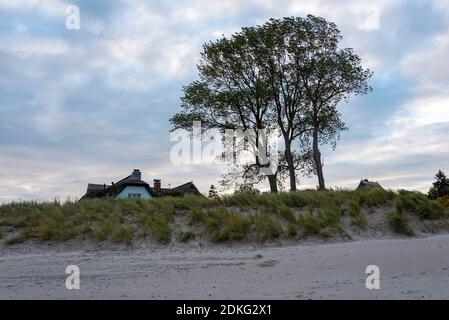 Allemagne, Mecklembourg-Poméranie occidentale, Ahrenshoop, maison dans les dunes, maison traditionnelle avec toit de chaume, péninsule Fischland-Darss, Mer Baltique Banque D'Images