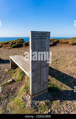 Chaise en bois près de la célèbre chaussée des géants, dans le comté d'Antrim, en Irlande du Nord Banque D'Images