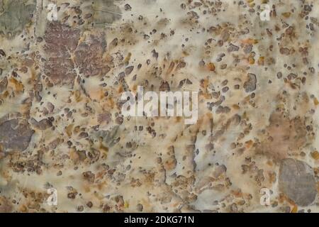 Fragment de tissu teint à la main à l'aide de la technique de l'éco-impression Banque D'Images