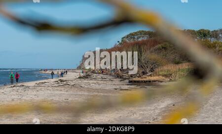 Allemagne, Mecklembourg-Poméranie occidentale, Prerow, les touristes courent le long de la plage sauvage et romantique ouest, la mer Baltique Banque D'Images