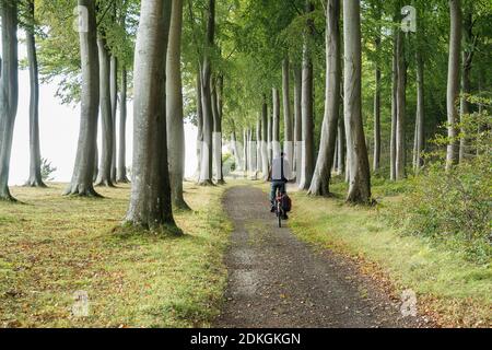 Danemark, presqu'île de Møn, côte sud, Faneskovwald, longue distance en vélo, cyclistes de derrière Banque D'Images