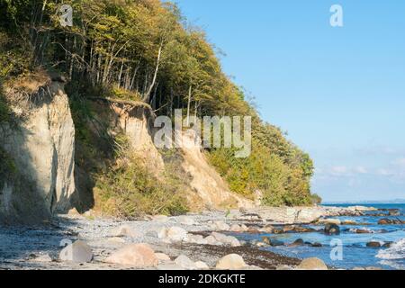 Danemark, péninsule de Møn, côte sud, plage de la mer Baltique, rive haute à Faneskovwald Banque D'Images