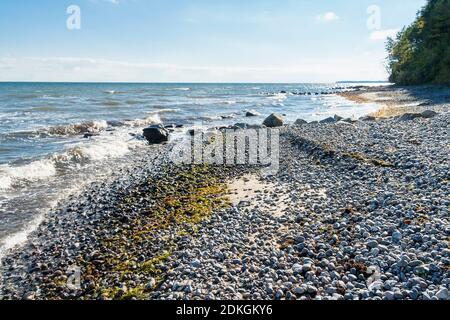 Danemark, péninsule de Møn, côte sud, plage de la mer Baltique, gravier, pierres Banque D'Images