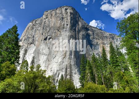 El Capitan qui s'élève au-dessus du fond de la vallée dans le parc national de Yosemite, Californie, États-Unis Banque D'Images