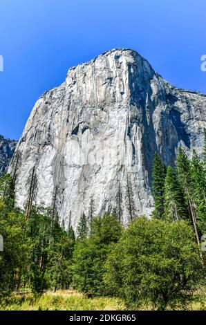 El Capitan qui s'élève au-dessus du fond de la vallée dans le parc national de Yosemite, Californie, États-Unis Banque D'Images