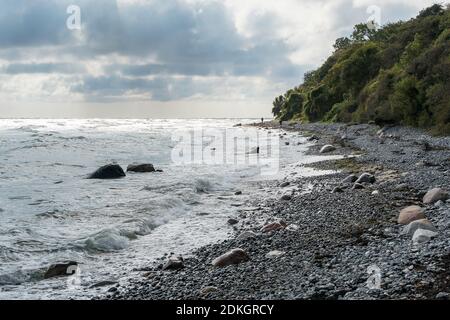 Danemark, péninsule de Møn, paysage à Møns Klint, près de Møn FYR, plage de pierre, marcheurs Banque D'Images