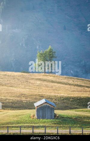 Italie, Vénétie, Belluno, Arabba, Livinallongo del Col di Lana, Dolomites, cabane de montagne avec clôture et larches solitaire près du refuge de bec de Roques Banque D'Images