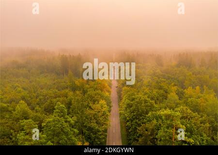Lever de soleil brumeux. Vue aérienne d'une rue à travers une forêt à un matin très brumeux, tiré par un drone Banque D'Images