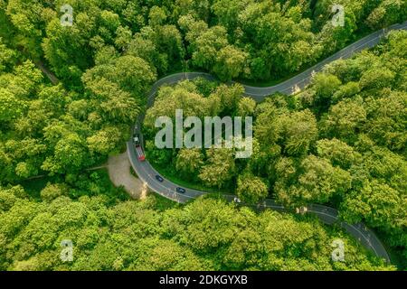 Vue aérienne d'une forêt verte avec un tracteur sur sa route en direction de ralentir une rangée de voitures derrière elle, la circulation s'embouteille à une belle journée de voyage. Banque D'Images