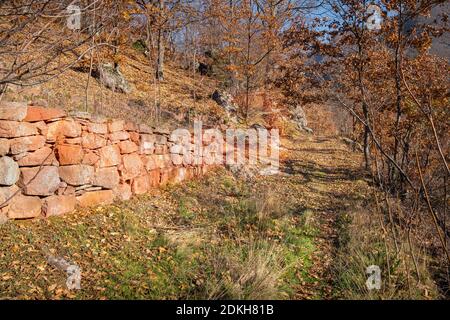 Chemin à travers les arbres de couleur automnale d'une forêt, mur de pierre rouge et marquage de voie sur la roche Banque D'Images