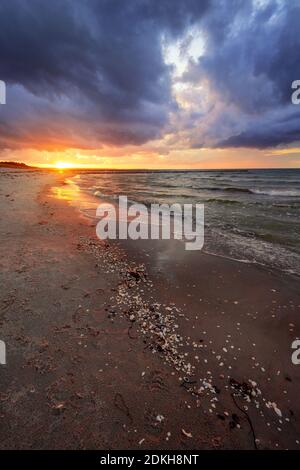 Coucher de soleil, plage, groyne, Mer Baltique, Zingst, Prerow, Mecklembourg-Poméranie occidentale, Allemagne, Europe Banque D'Images