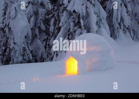 L'igloo se trouve sur la pelouse enneigée. Nuit hiver paysages de montagne. Maison avec lumière. Emplacement place les Carpathian Mountains, Ukraine, Europe. Banque D'Images