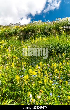 Naßfeld-Speicher an der Großglockner Hochalpenstraße, Nationalpark Hohe Tauern, Salzburger Land, Kärnten, Österreich, Europa Banque D'Images