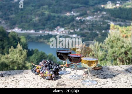 Dégustation en plein air de différents vins du port fortifiés en verres en automne ensoleillé, Vallée du Douro, Portugal, gros plan Banque D'Images