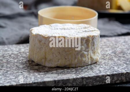 Collection de fromages, Camembert doux français de Normandie, à base de lait de vache dans la région Normandie, France gros plan Banque D'Images