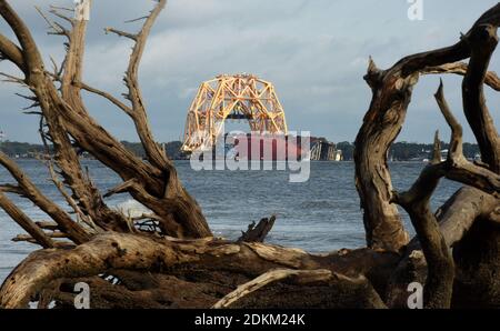 Géorgie, États-Unis. 14 décembre 2020. 14 décembre 2020 - Jekyll Island, Géorgie, États-Unis - le navire de cargaison Golden Ray se trouve sur le côté de l'eau, comme on l'a vu entre un arbre sur Driftwood Beach le 14 décembre 2020 à Jekyll Island, Géorgie. Une entreprise de récupération coupe le navire en huit segments, la section de l'arc ayant été coupée et retirée par une barge pour être mise au rebut. Le porte-véhicule, chargé de 4200 voitures neuves, a chaviré dans le détroit de l'île Saint-Simons le 8 septembre 2019, alors qu'il quittait le port de Brunswick, en Géorgie. (Paul Hennessy/Alamy) crédit : Paul Hennessy/Alamy Live News Banque D'Images