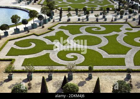 L'Orangerie, jardins du château de Versailles, France. Banque D'Images