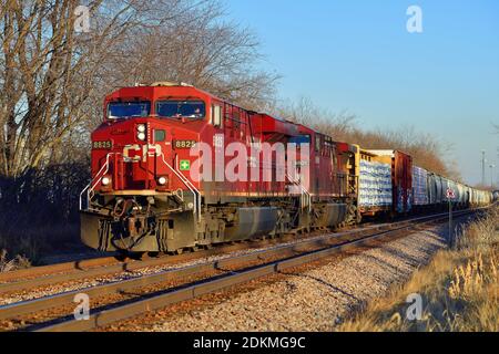 Bartlett, Illinois, États-Unis. Une paire de locomotives du chemin de fer canadien Pacifique déplace un train de marchandises manifeste vers l'ouest vers le soleil de la fin de l'après-midi. Banque D'Images