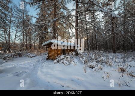 Cabane de chasse dans la forêt d'hiver à la fin de le jour Banque D'Images