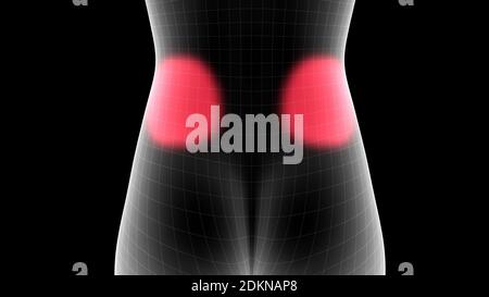 illustration 3d d'un hologramme de rayons x de femme montrant la zone de douleur sur la zone arrière Banque D'Images