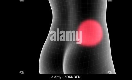 illustration 3d d'un hologramme de rayons x de femme montrant la zone de douleur sur la zone arrière Banque D'Images