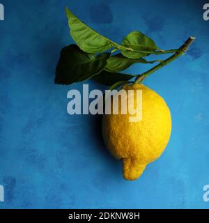 Citron frais avec feuilles isolées sur fond bleu.vue du dessus. Banque D'Images