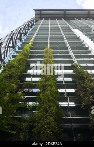 L'édifice fédéral Edith Green–Wendell Wyatt, au centre-ville de Portland. Extérieur du bâtiment respectueux de l'environnement. Banque D'Images