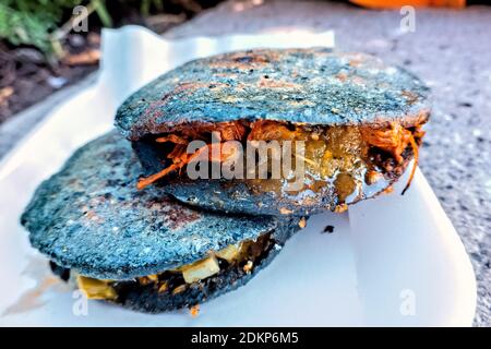 Gorditas au maïs bleu savoureux, Bernal, Queretaro, Mexique Banque D'Images