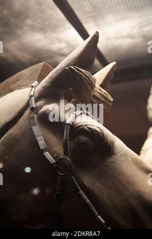 Cheval des sculptures guerrières de l'armée de terre cuite représentant les armées de Qin Shi Huang, le premier empereur de Chine à Xian X'ian China Banque D'Images