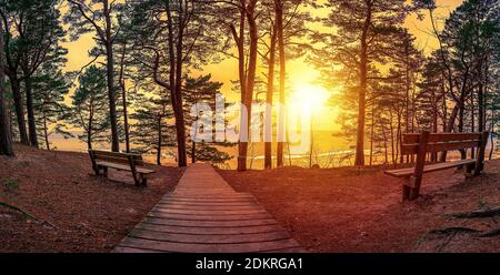 Coucher de soleil paysage sur la mer Baltique avec le soleil illuminant chaudement un banc sous les arbres. Ambiance romantique au coucher du soleil dans la forêt de conifères près de la mer. Un emp Banque D'Images