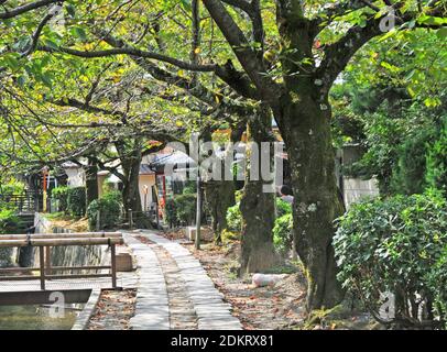 Tetsugaku no Michi, promenade du philosophe, Kyoto Japon Banque D'Images