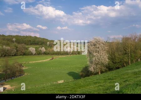 La Vallée de Crevon au printemps, à Grainville-sur-Ry (nord de la France) Banque D'Images