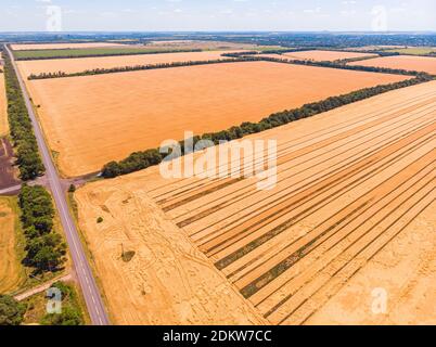 Vue aérienne d'une route de campagne étroite, asphaltée et grise, qui traverse un paysage de champs et de prairies. Banque D'Images