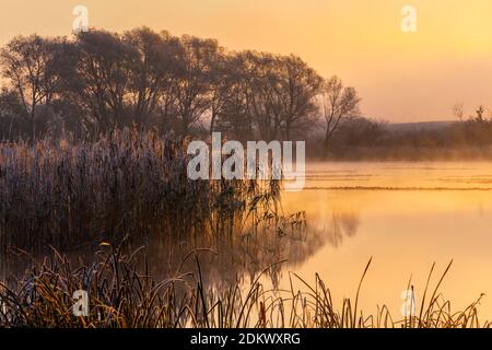 Automne, Warmia et Masuria, Pologne Banque D'Images