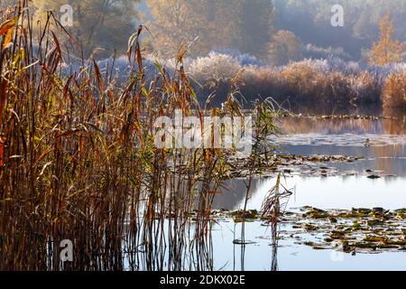 Automne, Warmia et Masuria, Pologne Banque D'Images