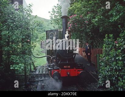 Chemin de fer de Talyllyn. Locomotive à vapeur prenant de l'eau à la station de Dolgoch Falls, au centre du pays de Galles, en Grande-Bretagne Banque D'Images