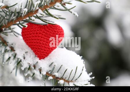 Coeur de Noël tricoté rouge, symbole de l'amour dans la neige sur les branches de sapin. Arrière-plan de la carte romantique, fête du Nouvel An, la Saint Valentin ou d'hiver Banque D'Images