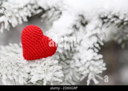 Coeur de Noël tricoté rouge, symbole de l'amour dans la neige sur les branches de sapin. Arrière-plan de la carte romantique, fête du Nouvel An, la Saint Valentin ou d'hiver Banque D'Images