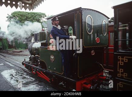 Chemin de fer de Talyllyn. Locomotive à vapeur Douglas. Pays de Galles du milieu. Grande-Bretagne Banque D'Images